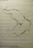 71024-G.jpg (22067 bytes)