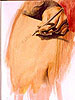 96011.jpg (43937 bytes)